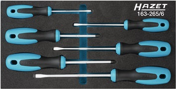 Werkzeugmodul 163-265/6 6-tlg.HAZET